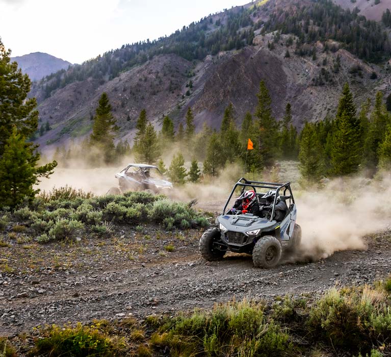 RZR® 200 EFI